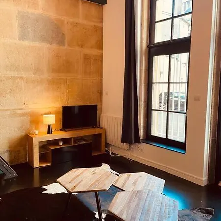 Le Vaillant Place De Theatre- Studio Mezzanine * Dijon
