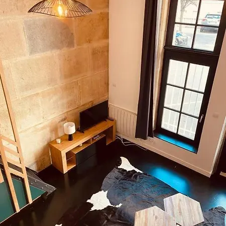 Le Vaillant Place De Theatre- Studio Mezzanine Dijon